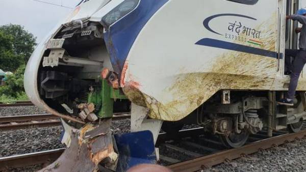 gujarat rpf case against owners of buffaloes hit by vande bharat express yesterday gujarat rpf case against owners of buffaloes hit by vande bharat express yesterday