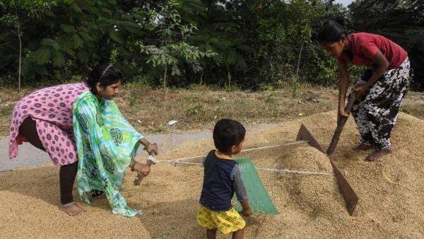 నల్గొండ కలెక్టరేట్ సమీపంలో చెక్ పోస్టులు ... ఏపీ ధాన్యానికి నో ఎంట్రీ