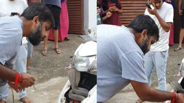 WATCH:Man catches cobra hiding inside scooty with bare hands WATCH:Man catches cobra hiding inside scooty with bare hands