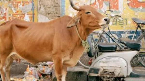 కామాంధుడిని చితకబాదేసిన స్థానికులు