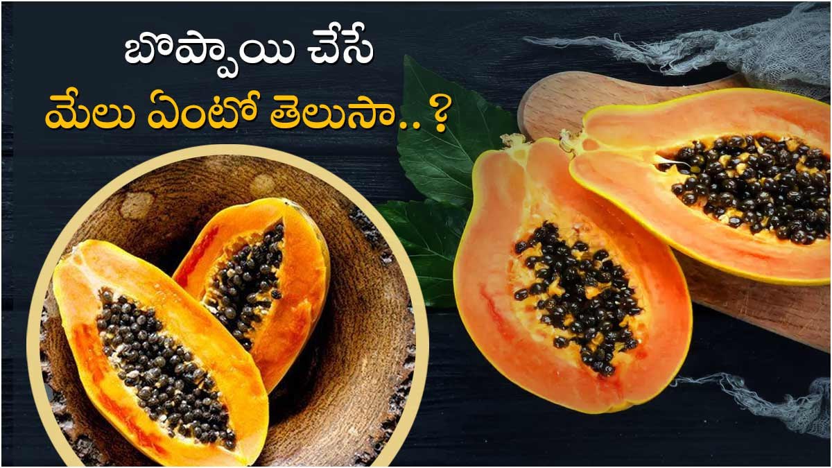 Health tips మంచి ఇమ్యూనిటీ బూస్టర్.. అద్భుతమైన పండు బొప్పాయి; బోలెడు