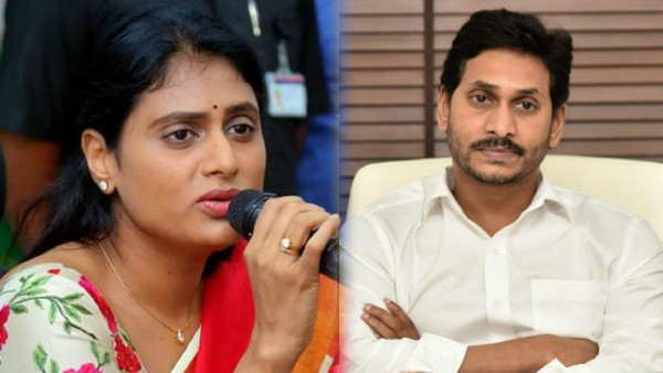 ys sharmila reacts on cbi notice to brother ys avinash reddy, ask jagan not to interfere ys sharmila reacts on cbi notice to brother ys avinash reddy, ask jagan not to interfere