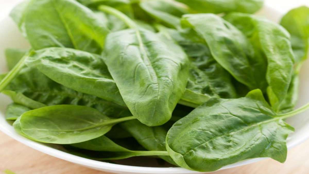 health tips పాలకూరలో పోషకాలు మెండు; హెల్త్ బెనిఫిట్స్ బోలెడు.. కానీ