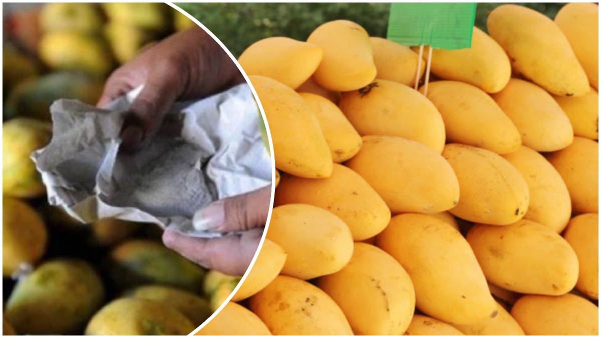 కార్బైడ్ తో పండిన మామిడిపండుకు, సహజంగా పండిన మామిడిపండుకు తేడా ఇదే