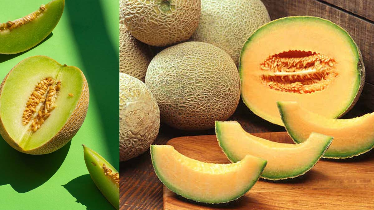 ఎండాకాలంలో ఖర్బూజా తీసుకుంటున్నారా? muskmelon uses and health