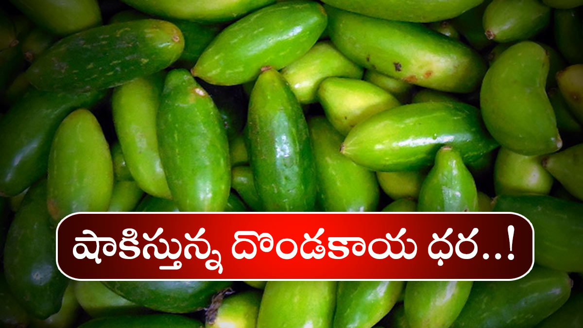 Ivy Gourd కిలో దొండకాయ రూ.900.. ఆశ్చర్యపోతున్నారా..! In London, the