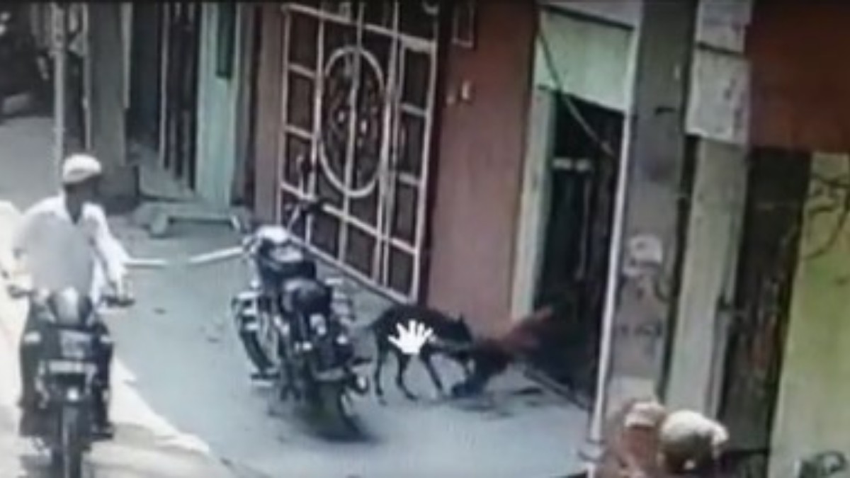 హైదరాబాద్: ఇంటి ముందు ఆడుకుంటున్న చిన్నారిపై వీధి కుక్క దాడి (వీడియో)
