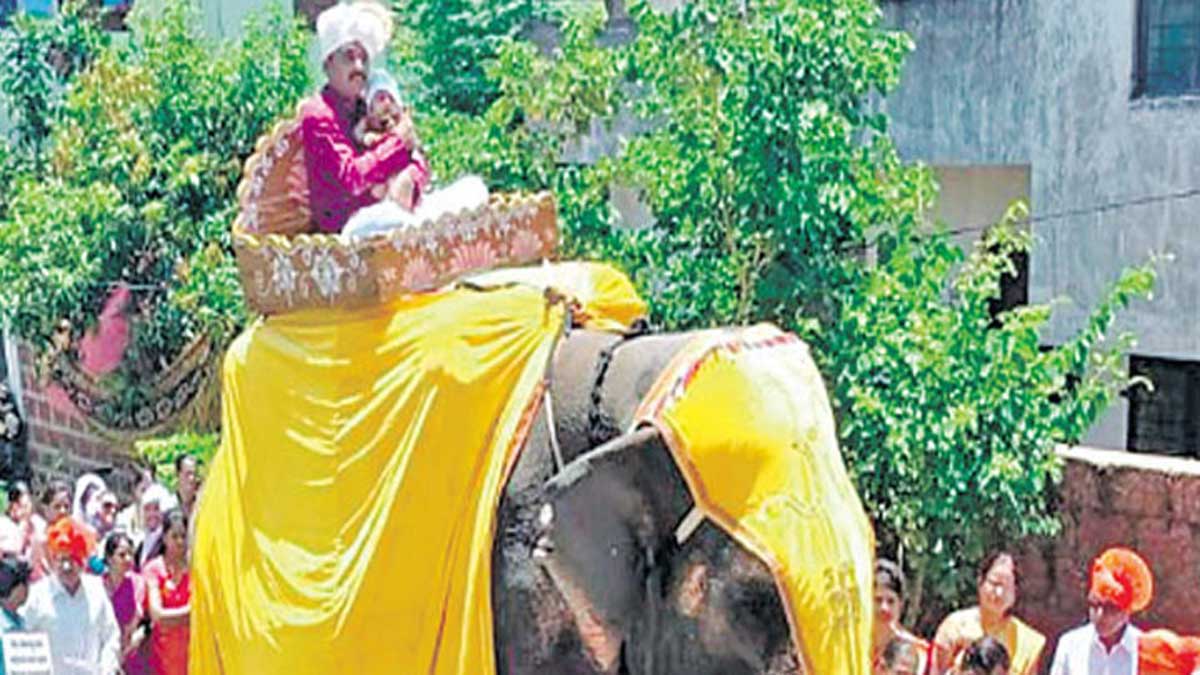 ఆడపిల్ల పుట్టిందన్న ఆనందం; ఏనుగుపై ఊరేగించిన తండ్రి!!