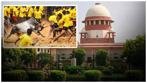Jallikattu: జల్లికట్టుపై సుప్రీం కోర్టు సంచలన తీర్పు.. ఇక ఆనందంగా ఆడుకోవచ్చు..!