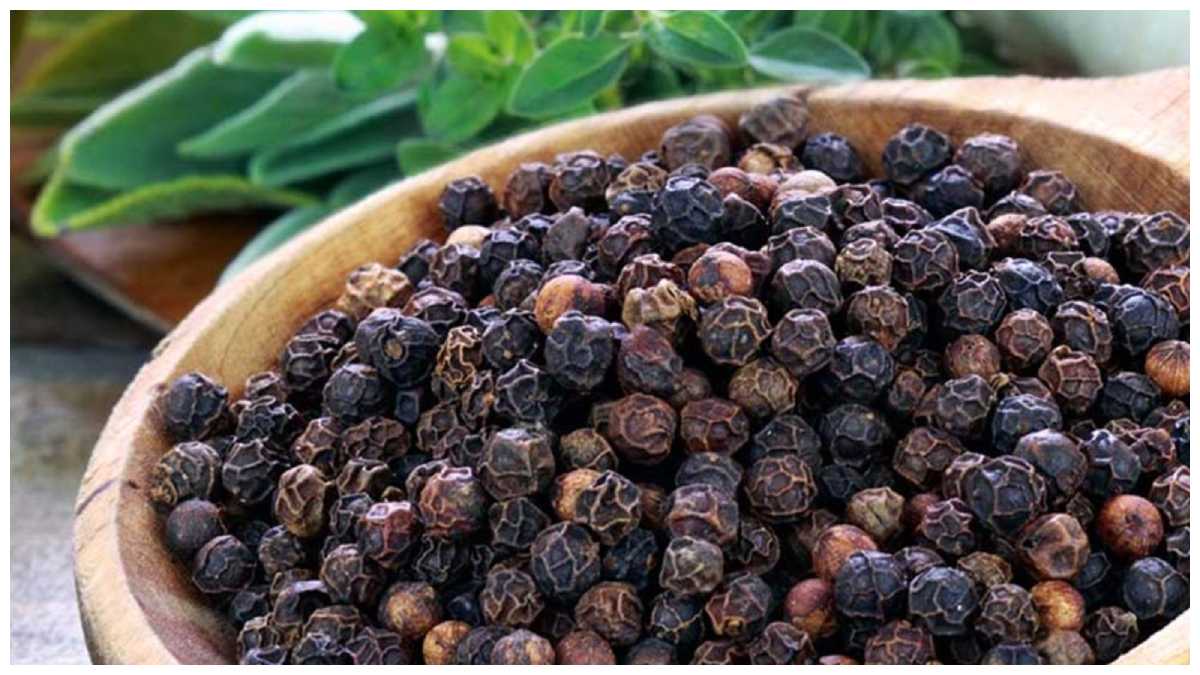 5 మిరియాలతో ఇలా చేయండి.. మీ సుడి తిరుగుతుంది black pepper remedies in