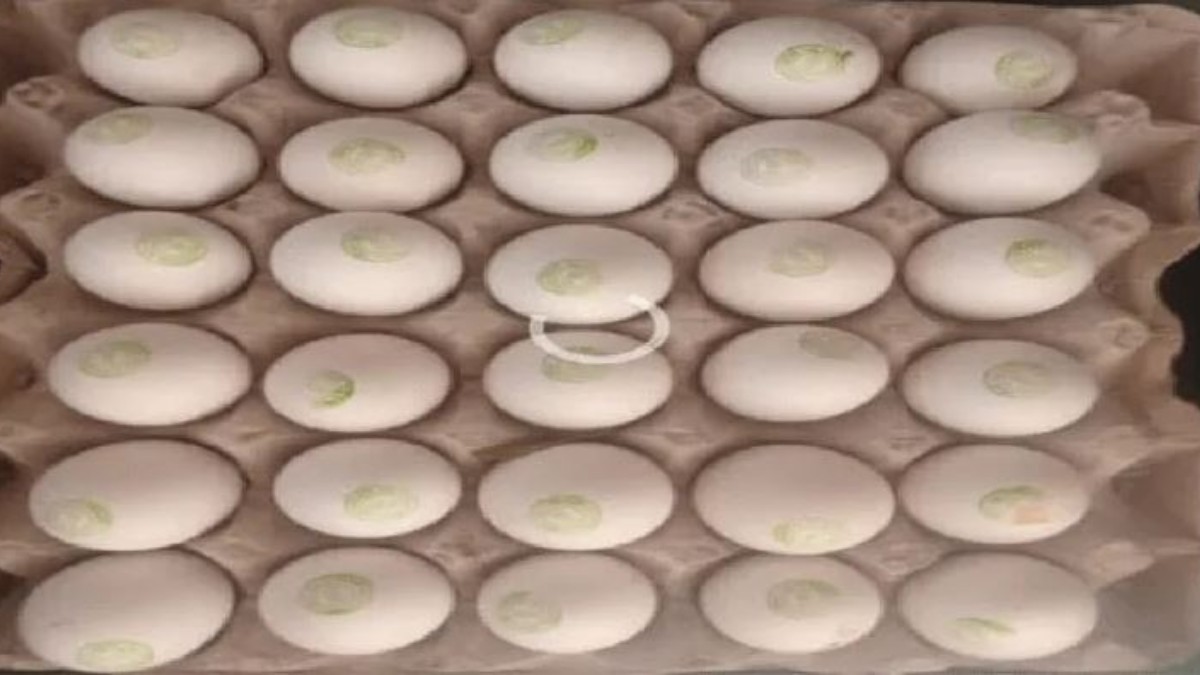 కోడిగుడ్లపై రంగులతో తెలంగాణా సర్కార్ ముద్ర.. ఎందుకంటే!!