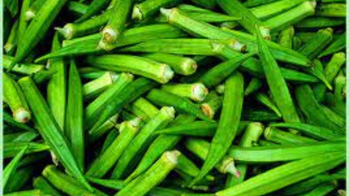 Lady Finger బెండకాయ ఉపయోగాలు తెలిస్తే.. తినకుండా ఉండలేరు..! Lady