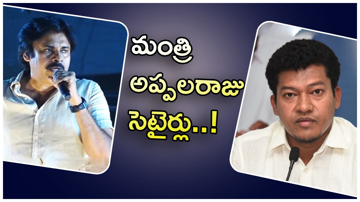 చెప్పులు పోతే కొనుక్కోవచ్చు పవన్ .. కానీ అదే పోతే ఎలా?: మంత్రి అప్పలరాజు సెటైర్లు