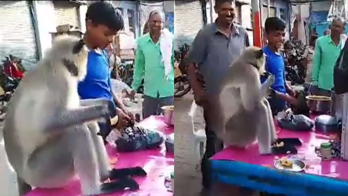 Viral Video: పానీపూరి తింటున్న కోతి.. వైరల్ అయిన వీడియో..