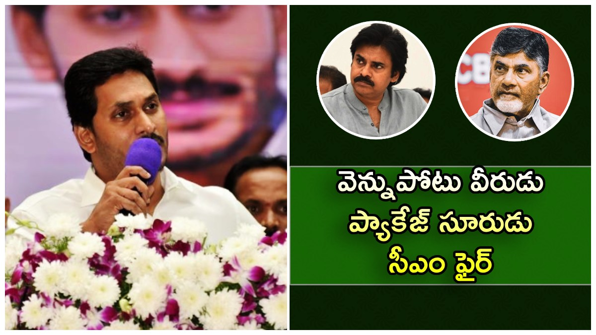 చంద్రబాబు వీరుడు; పవన్ కళ్యాణ్ శూరుడు: ఎందులోనో చెప్పిన సీఎం జగన్