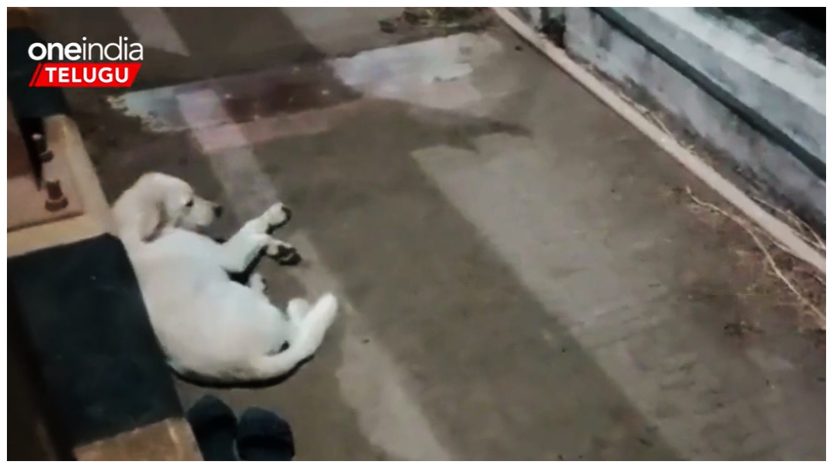 Video:అమ్మ నీకోసం నేనిక్కడే ఉన్నా.. కదిలించే కన్నీటి ప్రేమ కథ..