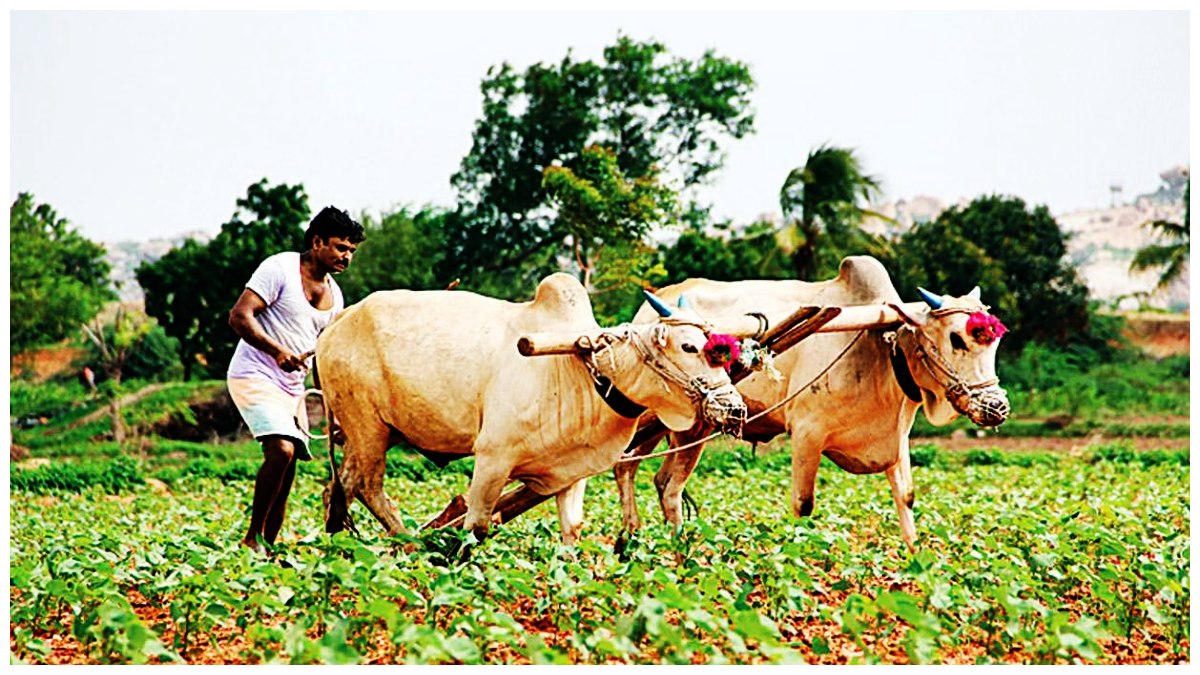 రైతుల అకౌంట్ లోకి రూ.23వేలు