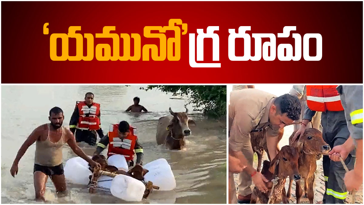 ఆసేతు 'హిమాచలం'... 'యమునో'గ్ర రూపం