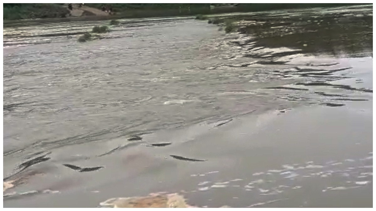 AP Rains : ఏపీ వ్యాప్తంగా భారీ వర్షాలు-గోదావరికి భారీవరద-కోనసీమలో రాకపోకలపై ప్రభావం..