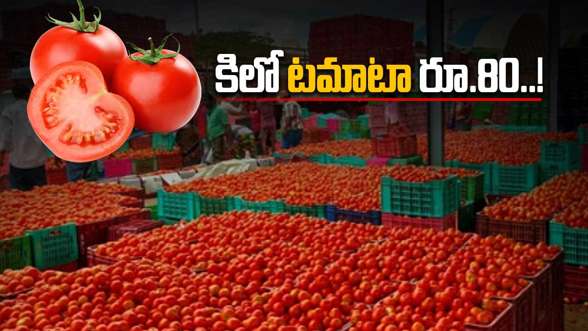 Tomato: 3 గంటల్లో 3000 కిలోల టమాటా కొనుగోలు చేశారు..