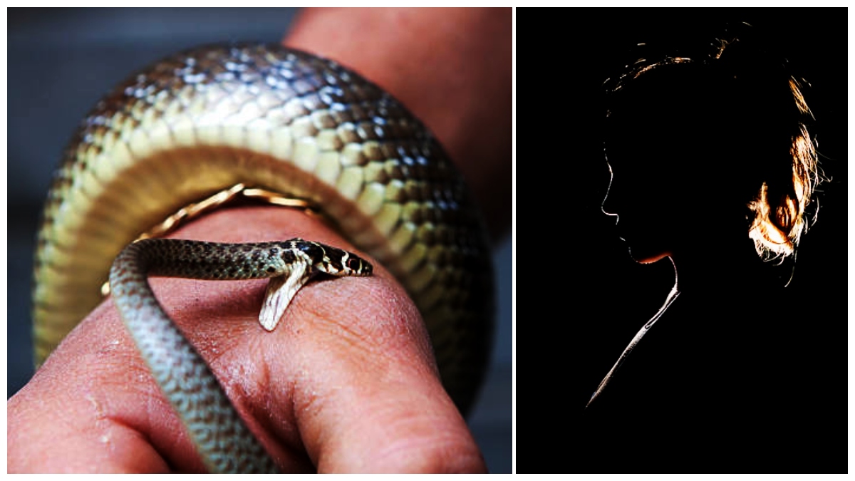 అక్రమ సంబంధం, వ్యాపారవేత్తను పాములతో చంపించిన కిలాడీ ఆంటీ, మ్యాటర్ లీక్ !