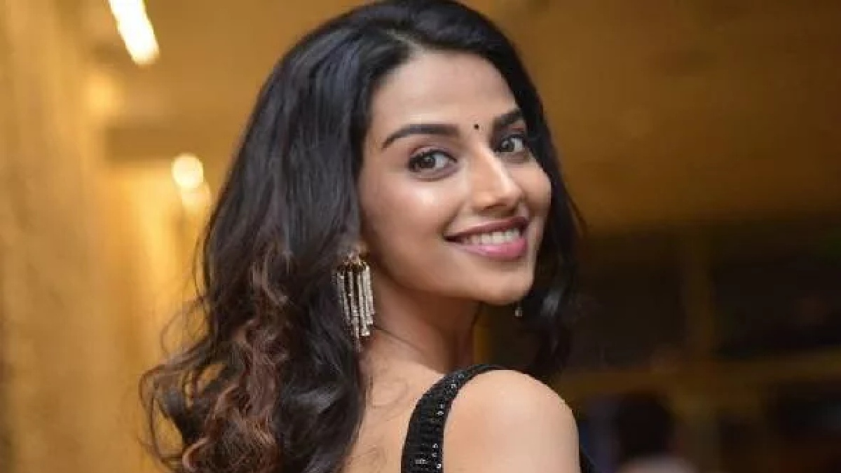 నక్కతోక తొక్కిన మీనాక్షి చౌదరి!