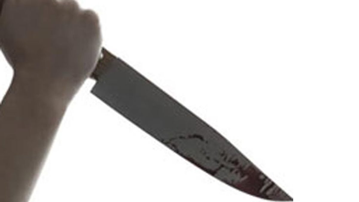 మహిళను ఇలా హత్య చేస్తారా, ముక్కలు ముక్కలు చేసి ఎలా విసిరేశారంటే ?. మ్యాటర్ !