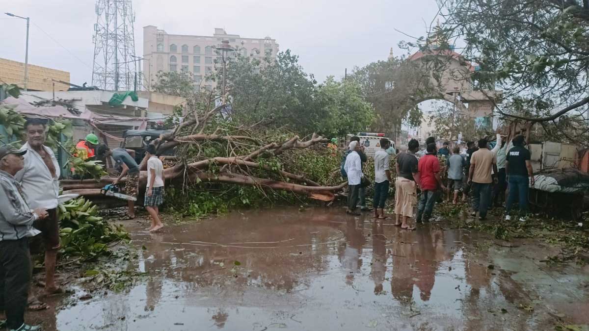 Rains In Gujarat: భారీ వర్షాలతో గుజరాత్ అతలాకుతలం..