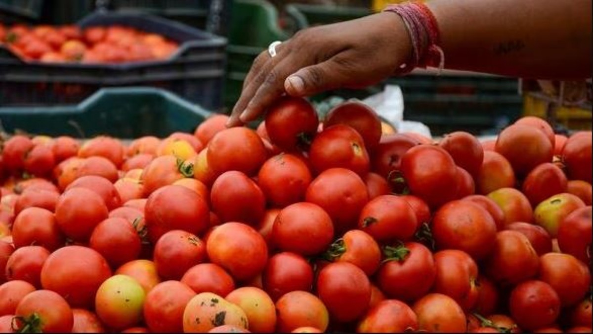 ఆల్ టైమ్ రికార్డ్ సృష్టించిన టమాటా