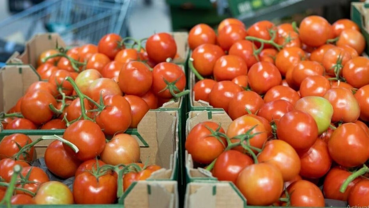 తగ్గనున్న టమాటా ధరలు; మహిళలకు శుభవార్త!!