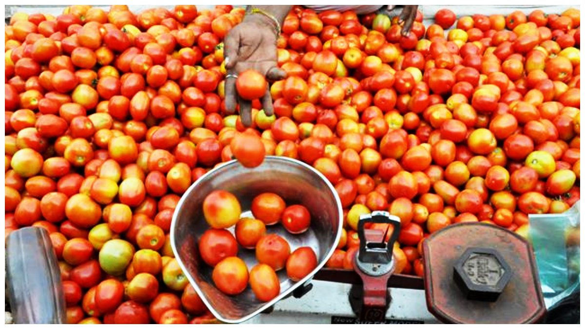 Tomato Prices: అక్కడ టమాటాల కోసం కిలోమీటర్ల మేర జనాల బారులు.. కారణమిదే!!