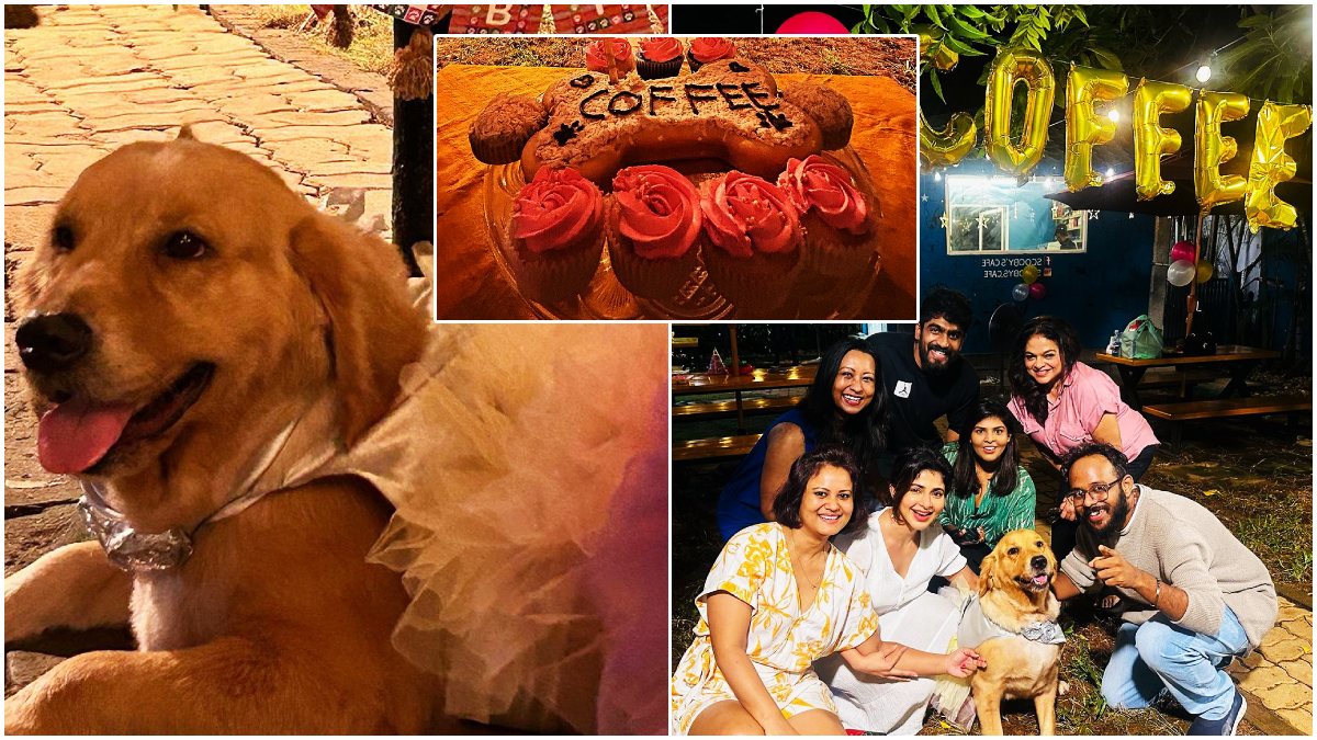 పెంపుడు కుక్క పుట్టిన‌రోజు వేడుక‌లు చేసిన నిఖిల్ హీరోయిన్‌.. Nikhil