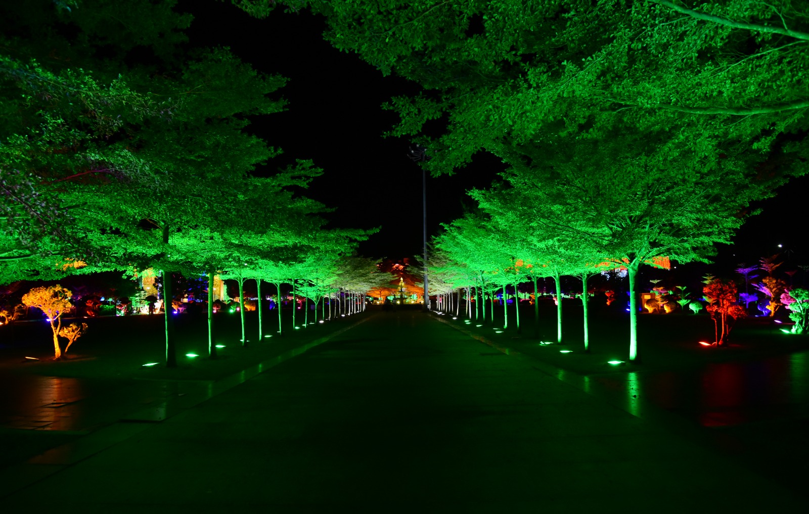 Hyderabad in tricolors