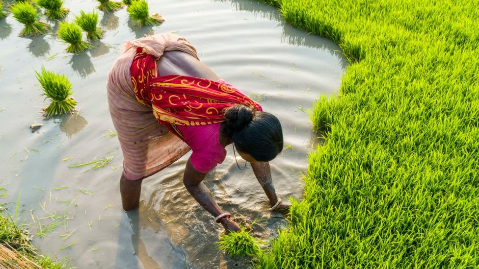 భారత్ చైనా వివాదం భారత్ చైనా వివాదం