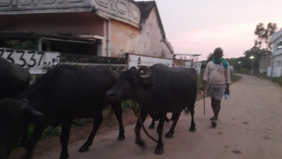 అమూల్ అమూల్