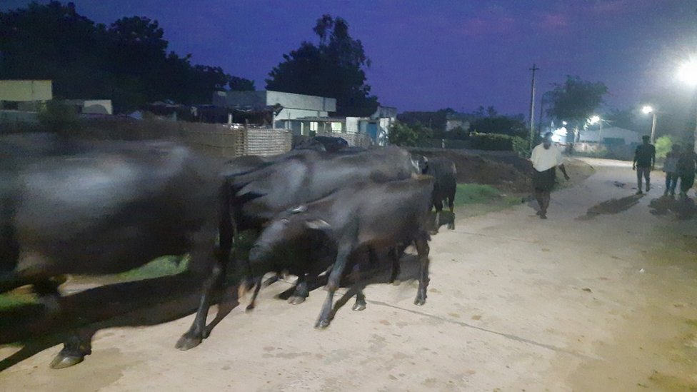 అమూల్ అమూల్