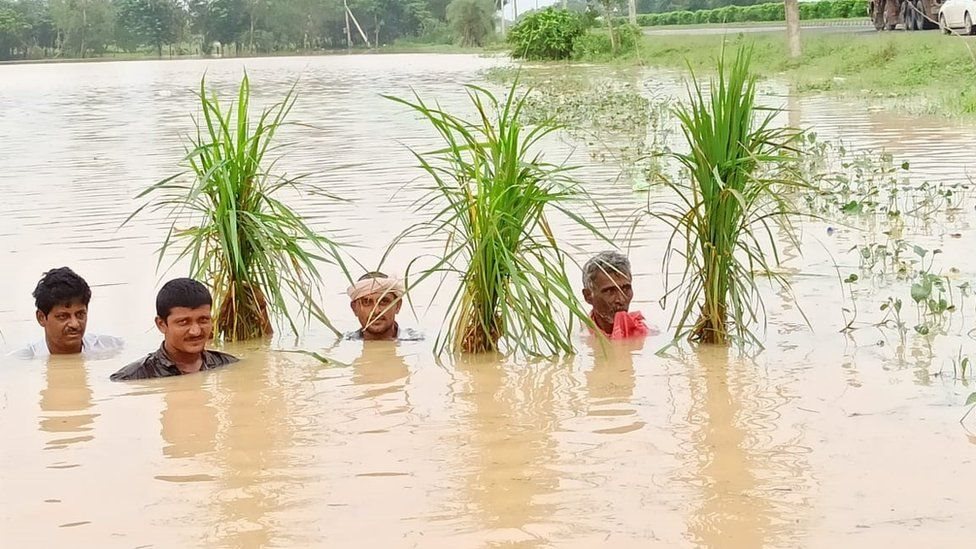 ఇటీవల భారీ వర్షాలకు పశ్చిమ గోదావరి జిల్లాలో కైకరం వద్ద పీకల్లోతు నీళ్లలో రైతులు ఇటీవల భారీ వర్షాలకు పశ్చిమ గోదావరి జిల్లాలో కైకరం వద్ద పీకల్లోతు నీళ్లలో రైతులు