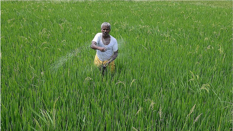 వ్యవసాయం వ్యవసాయం