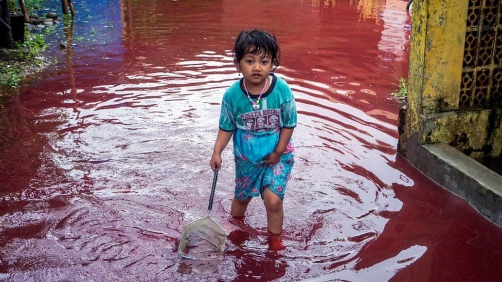 రక్తం రంగులోని వరద నీరు రక్తం రంగులోని వరద నీరు
