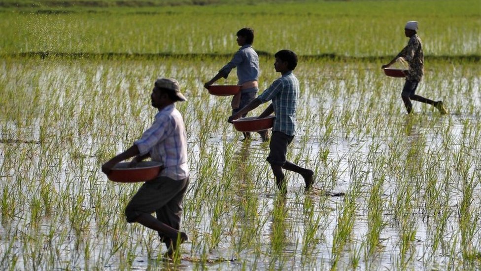వ్యవసాయ సంక్షోభం వ్యవసాయ సంక్షోభం