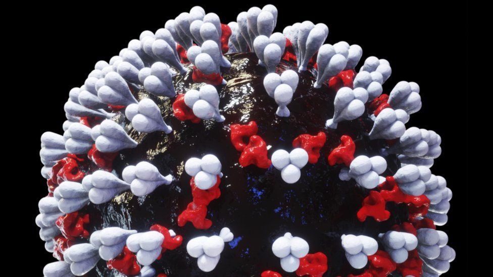 Coronavirus Coronavirus
