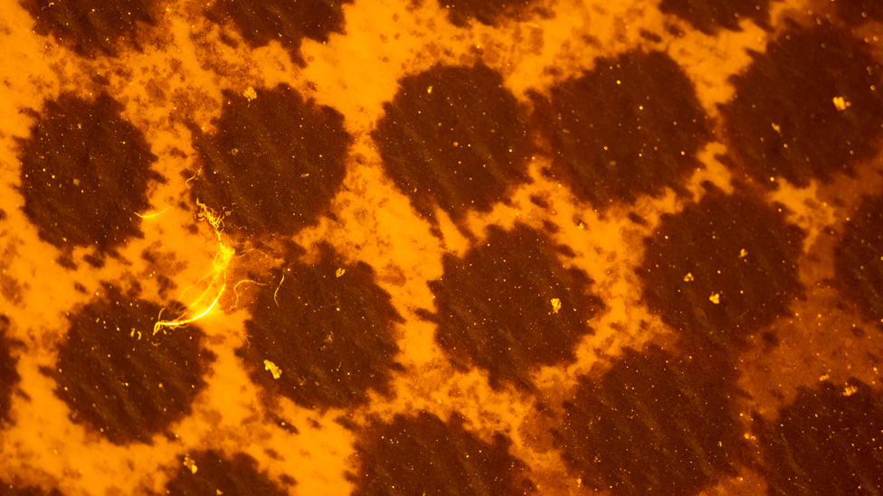 Filtration of larger particles Filtration of larger particles