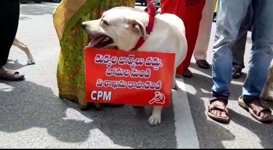 కుక్కల పార్క్కు వ్యతిరేకంగా కుక్కతోనే నిరసన ప్రదర్శన కుక్కల పార్క్కు వ్యతిరేకంగా కుక్కతోనే నిరసన ప్రదర్శన