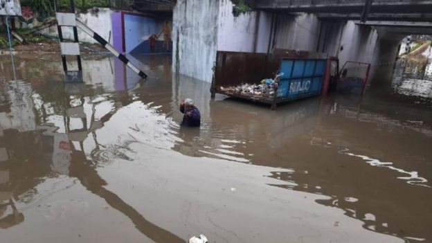 నెల్లూరులో నెల్లూరులో