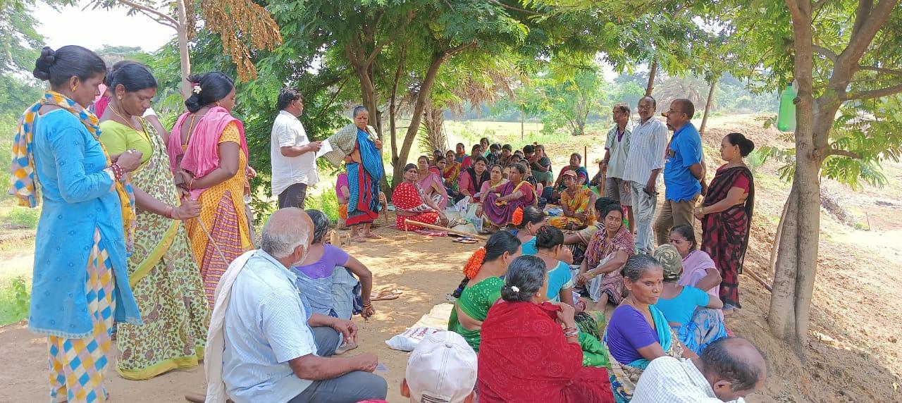 పలాస జీడి పప్పు: మార్కెట్‌లో మంచి ధర ఉన్నప్పటికీ రైతుకు మాత్రం నష్టం ఎందుకు?