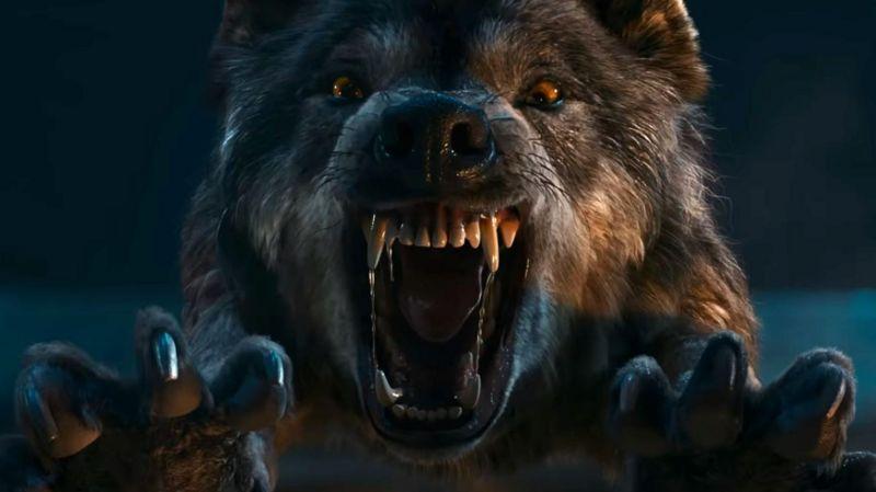 సినిమాల్లో నటించే జంతువులను ఎలా ఎంపిక...